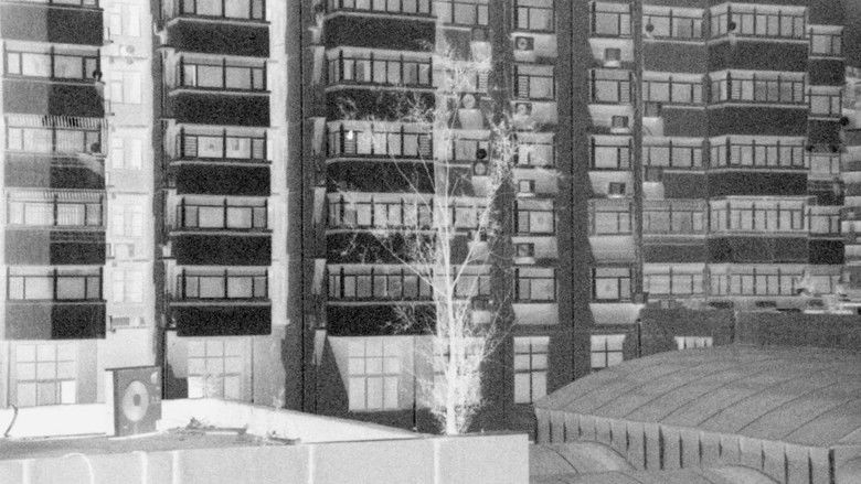 кадр из фильма 混凝土枝杈