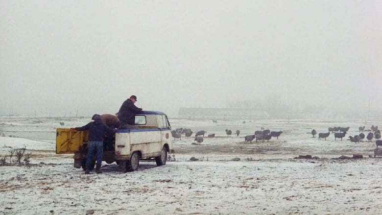 кадр из фильма Fårödokument 1970