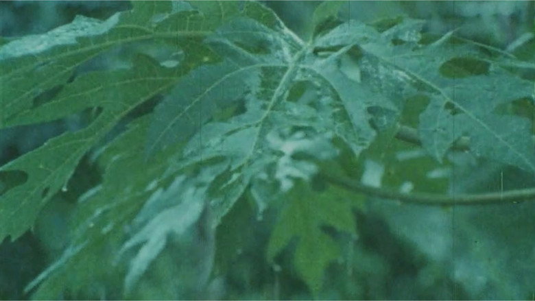 El sueño verde