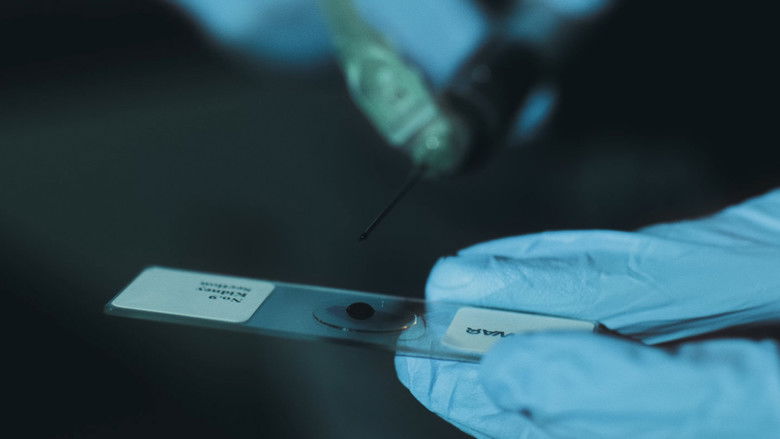 кадр из фильма I Feel Good