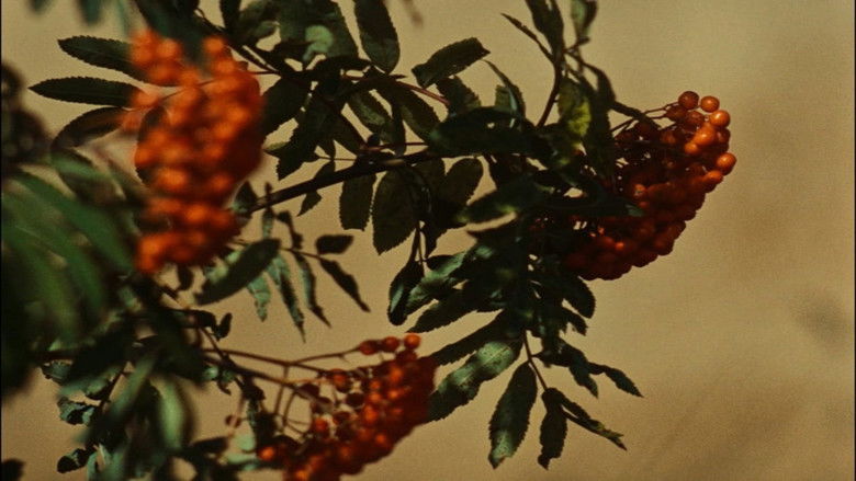 кадр из фильма Všichni dobří rodáci