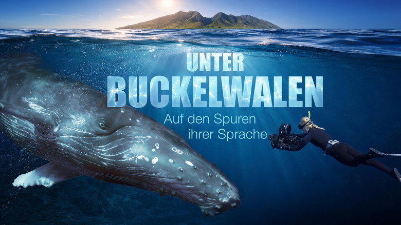 кадр из фильма Unter Buckelwalen - Auf den Spuren ihrer Sprache
