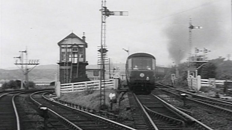 кадр из фильма West Highland