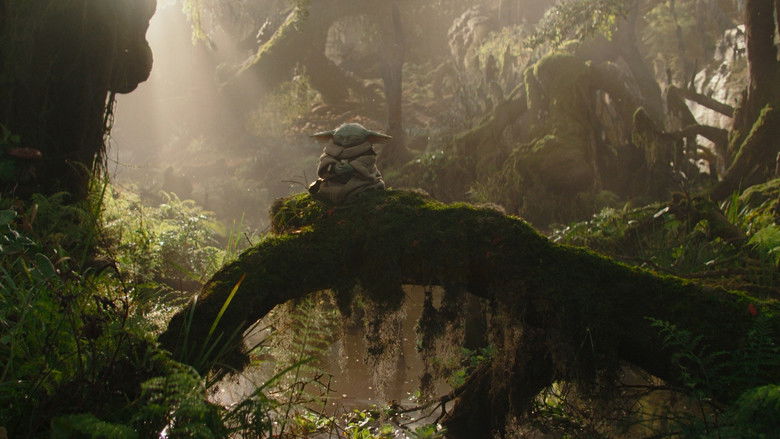 кадр из фильма Мандалорец и Грогу