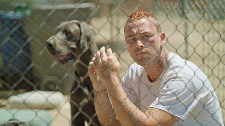 кадр из фильма Home