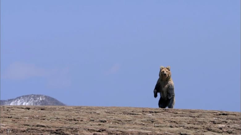 кадр из фильма The Himalayas