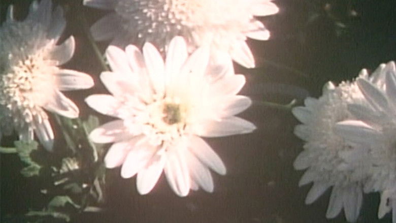 кадр из фильма かたつもり