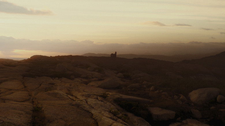 кадр из фильма Большое желание