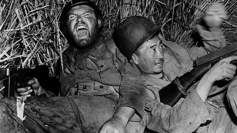 кадр из фильма Стальной шлем