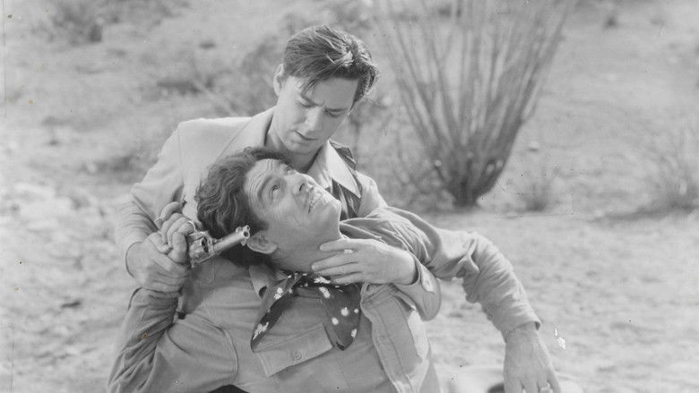 кадр из фильма The Mysterious Rider