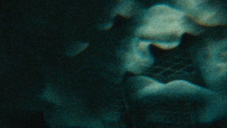 кадр из фильма Glistening Seagull