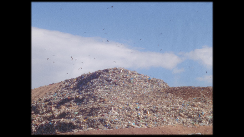 кадр из фильма PULGAS