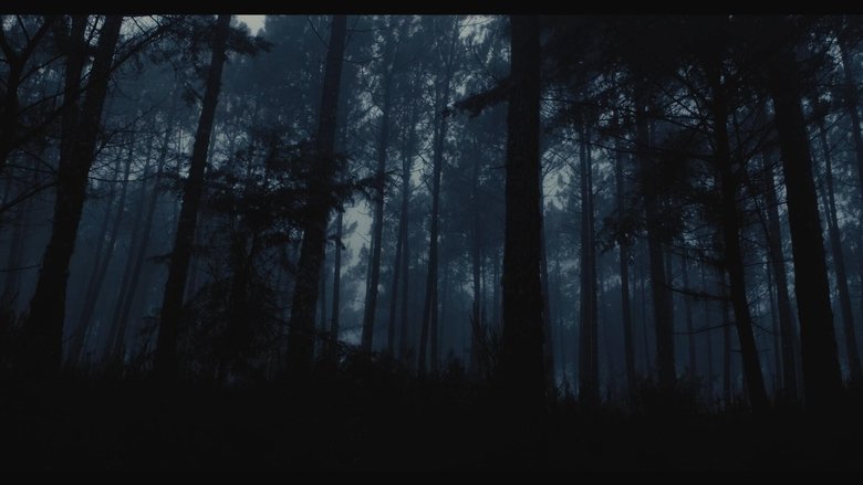 кадр из фильма Cabra Cega