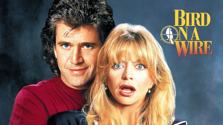 кадр из фильма Птичка на проводе