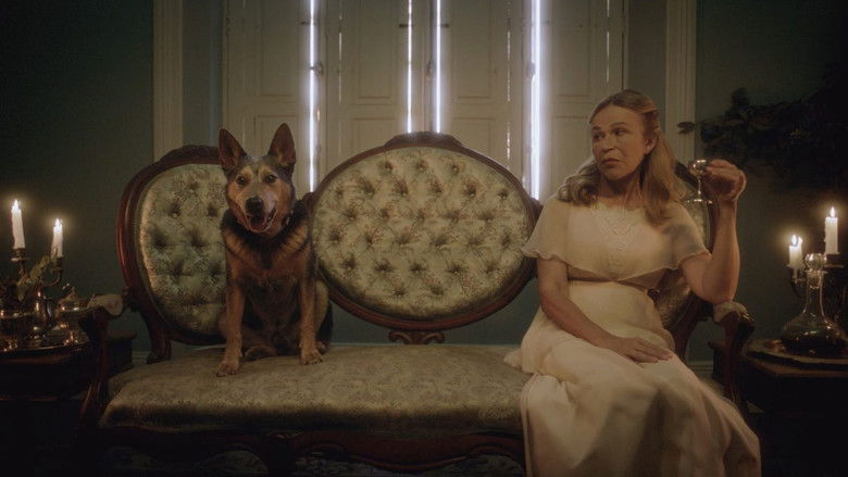 кадр из фильма La paciente desconocida de Freud