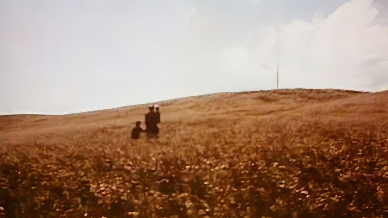 кадр из фильма Медея