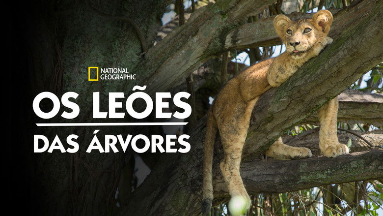 кадр из фильма Tree Climbing Lions