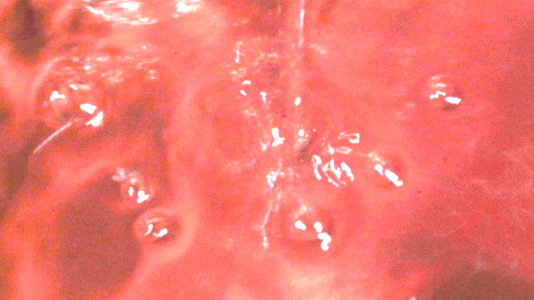 кадр из фильма Kova