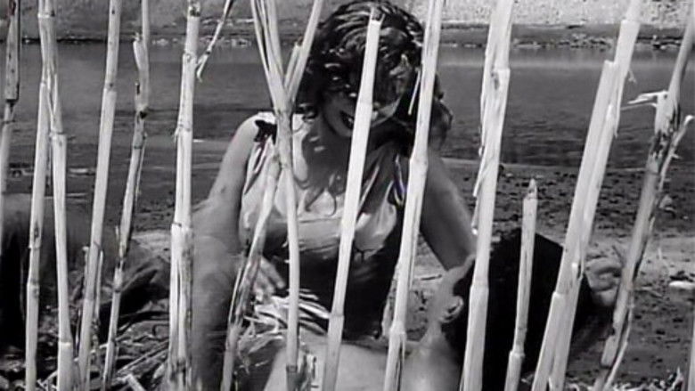 кадр из фильма صراع في النيل