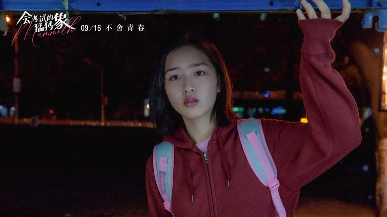 кадр из фильма 会考试的猛犸象