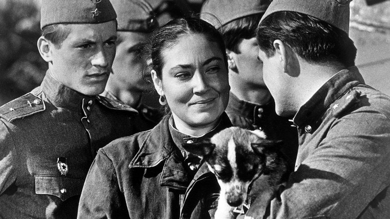 кадр из фильма В бой идут одни старики