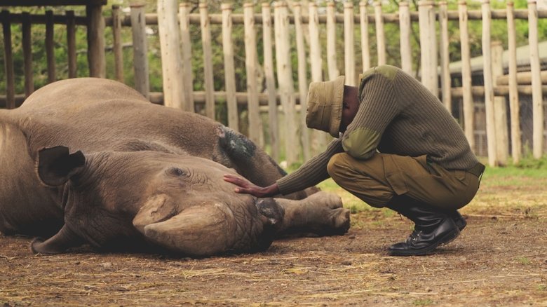 кадр из фильма Kifaru