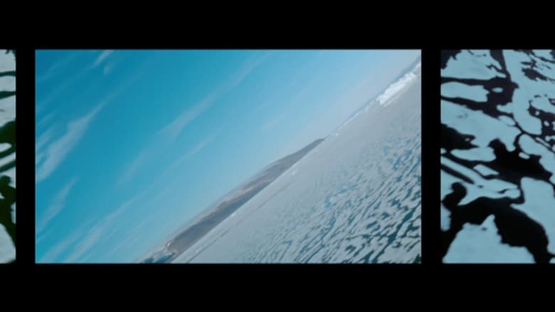 кадр из фильма Polar Life