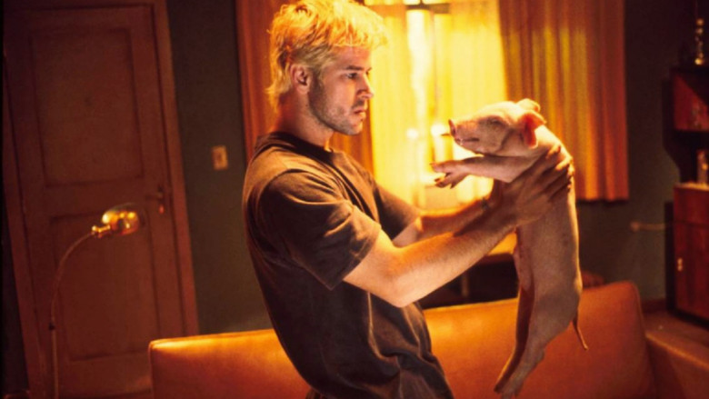 кадр из фильма Человек года