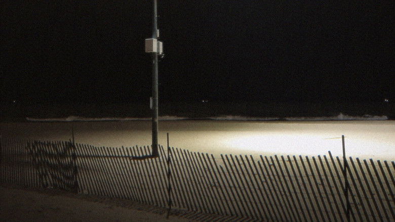 кадр из фильма Despite Everything