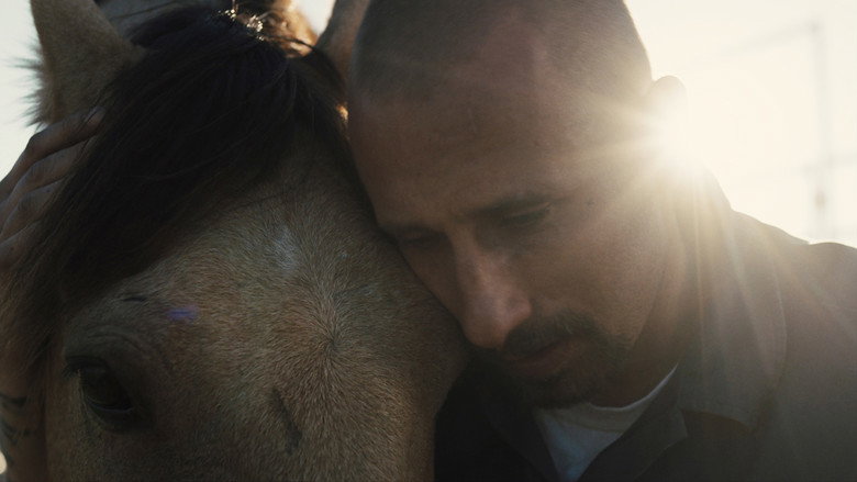 кадр из фильма Мустанг