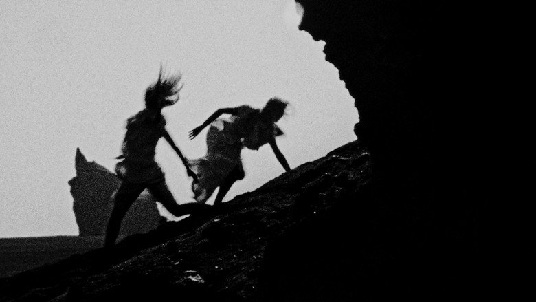 кадр из фильма Anouk & Eydís.