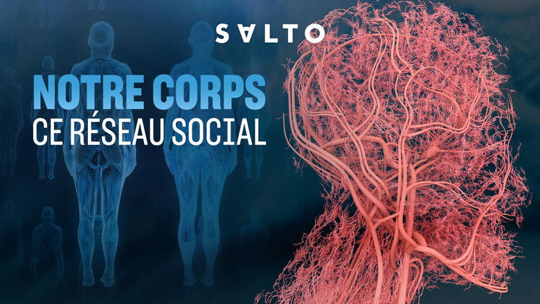 кадр из фильма Notre corps, ce réseau social