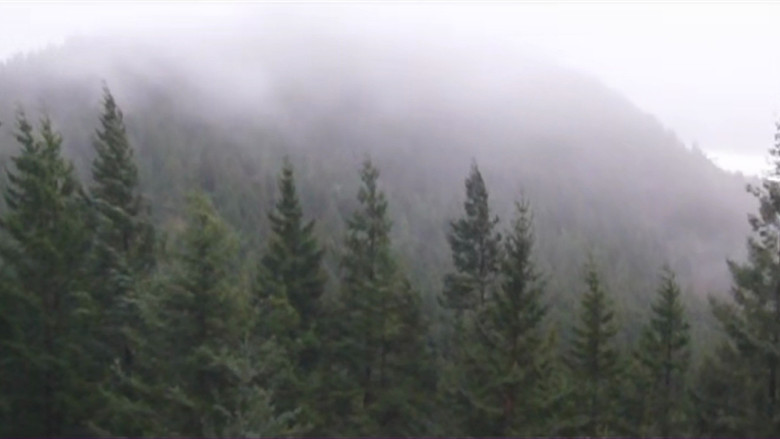 кадр из фильма Fog Movies Live