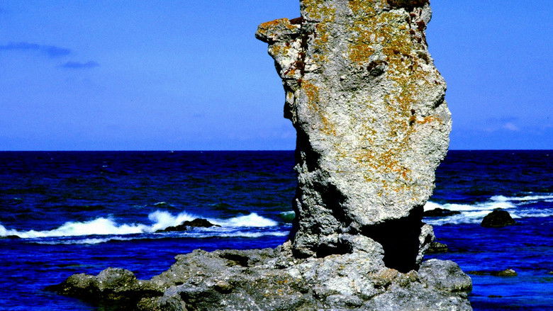 кадр из фильма Bergman Island