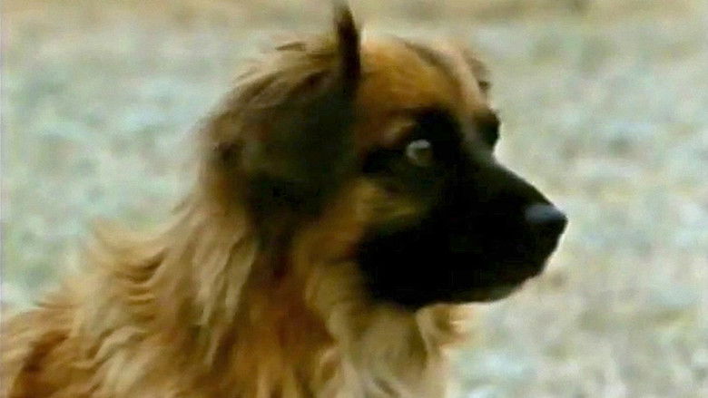 кадр из фильма Hambone and Hillie