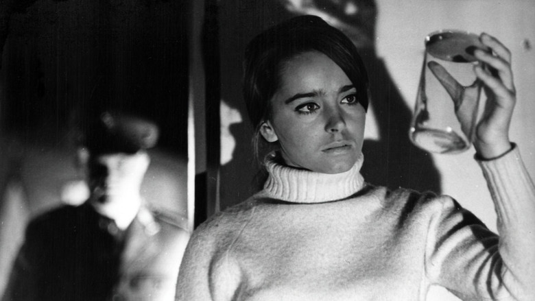 кадр из фильма Последний свидетель