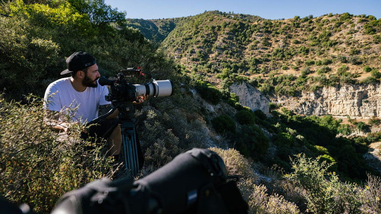 кадр из фильма Life with Vultures