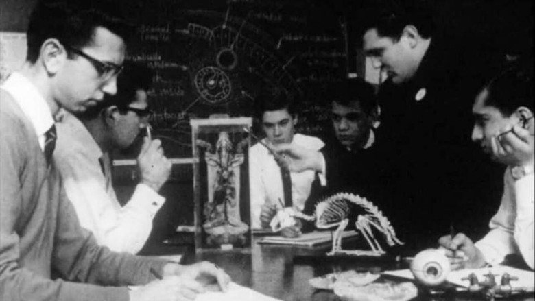 кадр из фильма Comprehensive School