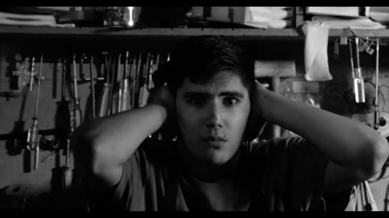 кадр из фильма Fly