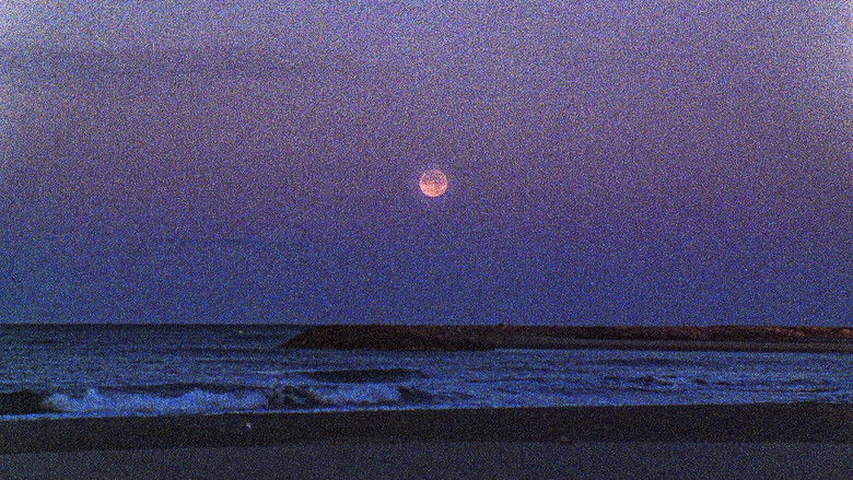 кадр из фильма I HAVE NOT BEEN AFRAID OF GOING BLIND FOR A LONG TIME