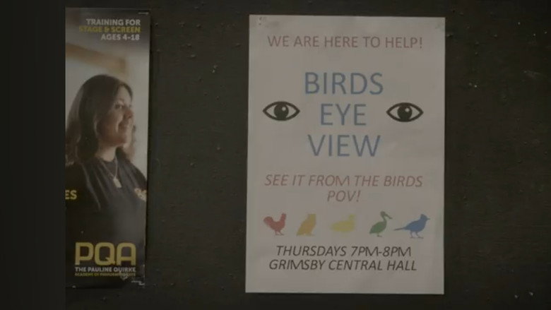Birds Eye View