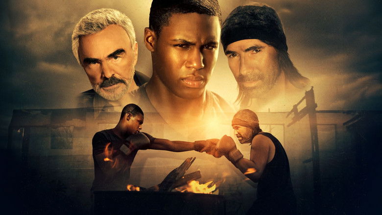 кадр из фильма Shadow Fighter