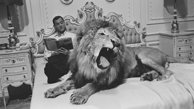 кадр из фильма Fluffy