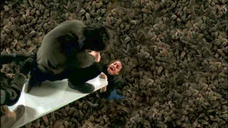 кадр из фильма The Rats