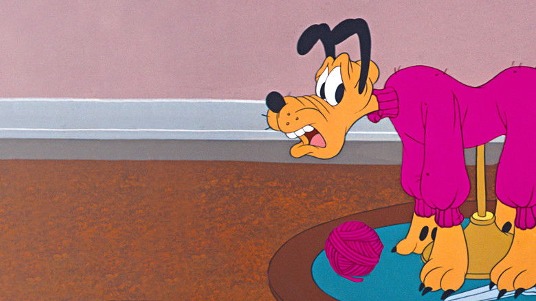 кадр из фильма Плуто: Свитер для Плуто