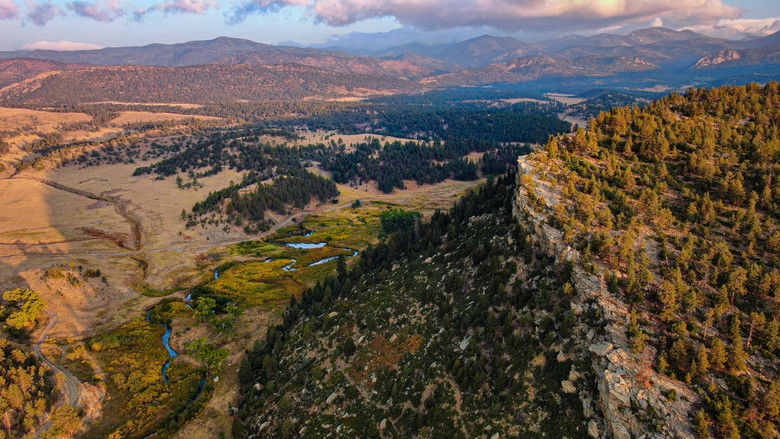 кадр из фильма Preserved