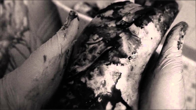 кадр из фильма Lung