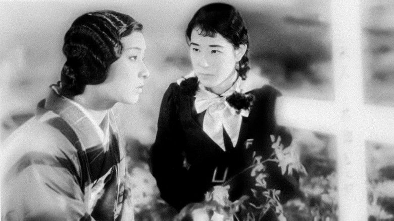 乙女シリーズその一　福寿草