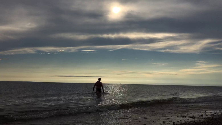 кадр из фильма Swimming to the End of the World