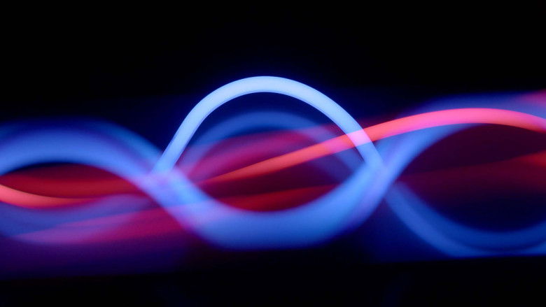 кадр из фильма Photosynthesis